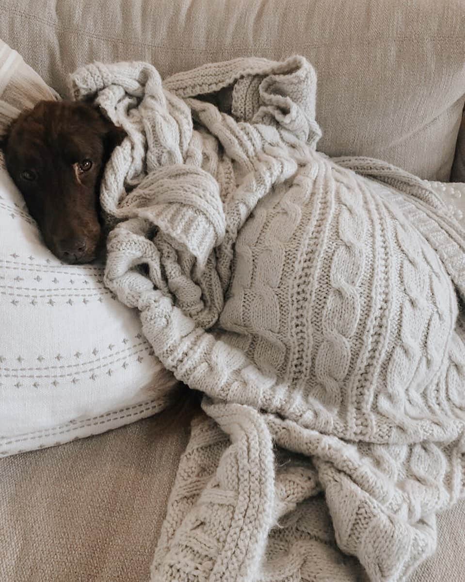 タラ・リピンスキーのインスタグラム：「Dubby days. My little king is getting a slow start to this Monday. Who’s with him?! 🙋🏼‍♀️」