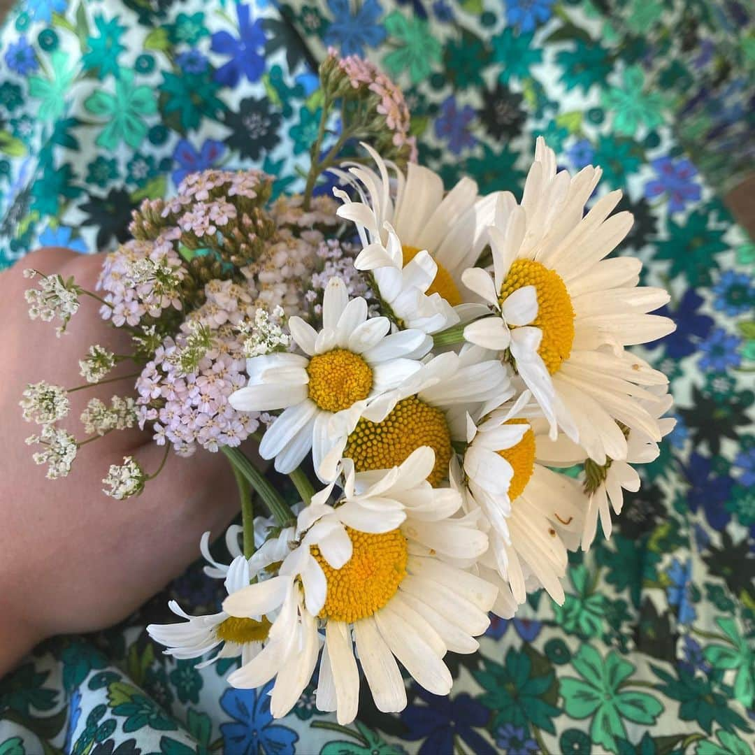 Marie-Ange Castaのインスタグラム：「🌼🌸🌼」