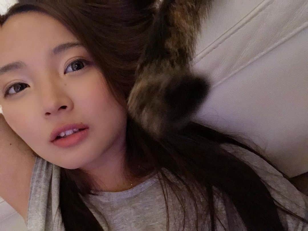 山本有紗さんのインスタグラム写真 - (山本有紗Instagram)「おやすみ💤」6月2日 2時37分 - arisa_bikini
