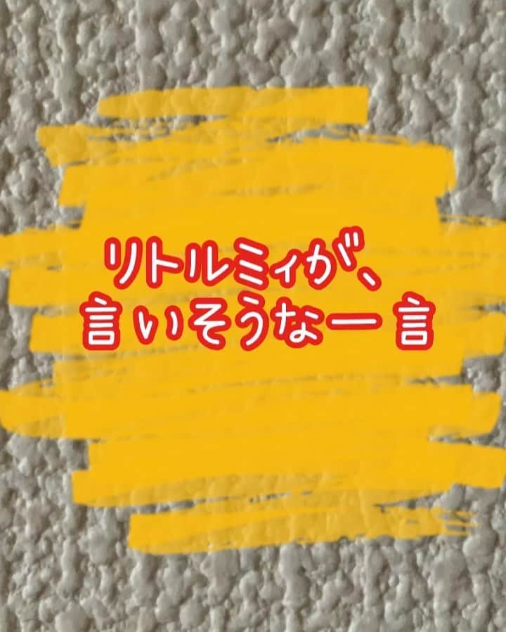 新谷あやかのインスタグラム