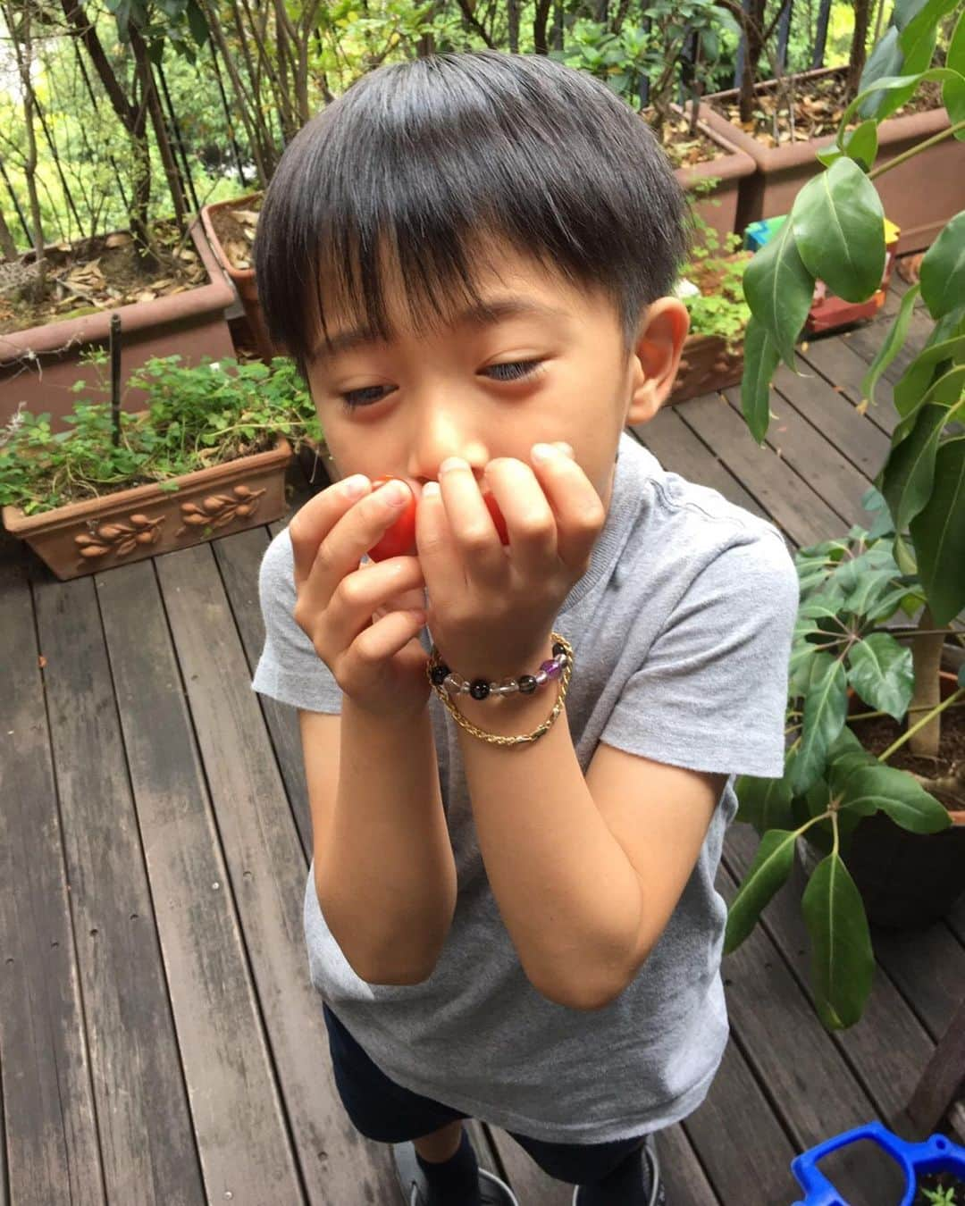 市川海老蔵 （11代目）さんのインスタグラム写真 - (市川海老蔵 （11代目）Instagram)「Harvest‼️ The scents are nice💕 * 収穫‼️ 香りがいいね💕  #市川海老蔵 #海老蔵 #成田屋 #歌舞伎 #ABKAI #ABMORI #ebizoichikawa #ebizo #kabuki #thunderparty #theater #theaterarts #actor #japan #classic」6月2日 14時29分 - ebizoichikawa.ebizoichikawa