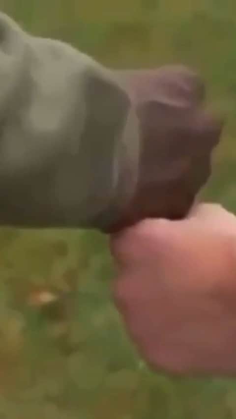 クリス・ファフのインスタグラム