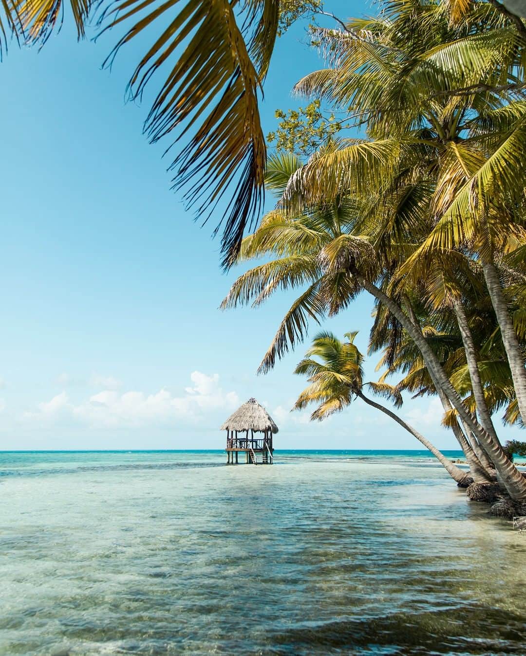 Costa Sunglassesのインスタグラム：「#BringTheWaterHome with the voices of the guides and anglers who make up our Costa Community. From spearfishing with @healeywaterops to fly fishing in the jungles of Guyana with @oliverwhitefishing, settle in for a storied session with the watermen and women of Costa on our podcast playlist. Listen now at the link in our bio. #SeeWhatsOutThere.」