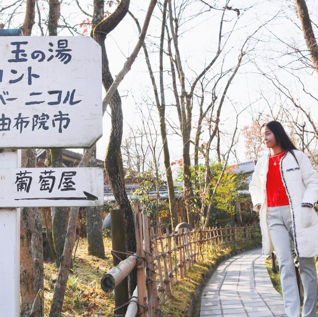 大桃美代子さんのインスタグラム写真 - (大桃美代子Instagram)「今年行った、由布院の玉の湯さんで。 泊まりたい宿ランキングで上位の名旅館です。  玉の湯の入り口からのアプローチの森の様な庭が素晴らしいのです。  植物の多様性を残し、鳥がやってくる庭を造られた、当主の溝口董平さん。  地域つくりのパイオニア。  大好きな方です。  何度行っても優しい笑顔が素敵！！ 4月にお亡くなりになった、cwニコルさんとの繋がりのニコルのバーもかっこいい！！ また行きたくなるお宿です。  三枚目は、由布院駅の観光案内所。  坂茂さんの作品で、木がふんだんに使われています。  #由布院#由布院グルメ#玉の湯#旅館#ゆふいんの森 #大分#旅したい#japan#亀井別荘#金麟湖 #朝もや#バーニコル #ガニ股は気にしない#坂茂#観光応援#妄想旅#funtotrip」6月2日 8時20分 - miyoko_omomo