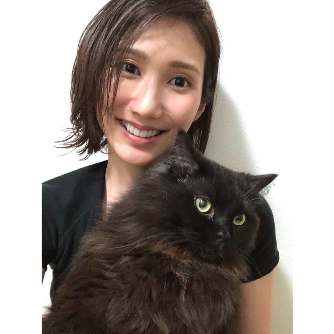 春輝のインスタグラム：「坊ちゃん本日で２歳になりました🎉🎉 自粛期間中、ずっと一緒で心支えてくれたビッグボーイ 小さかった時代を思い出せないぐらい大きく元気に育ってます👶🏻 もっと大きくなってもいいんだよ☺️ . . #バレンティン#Balentien #メインクーン#MaineCoon#猫#cat #春輝#haruki」