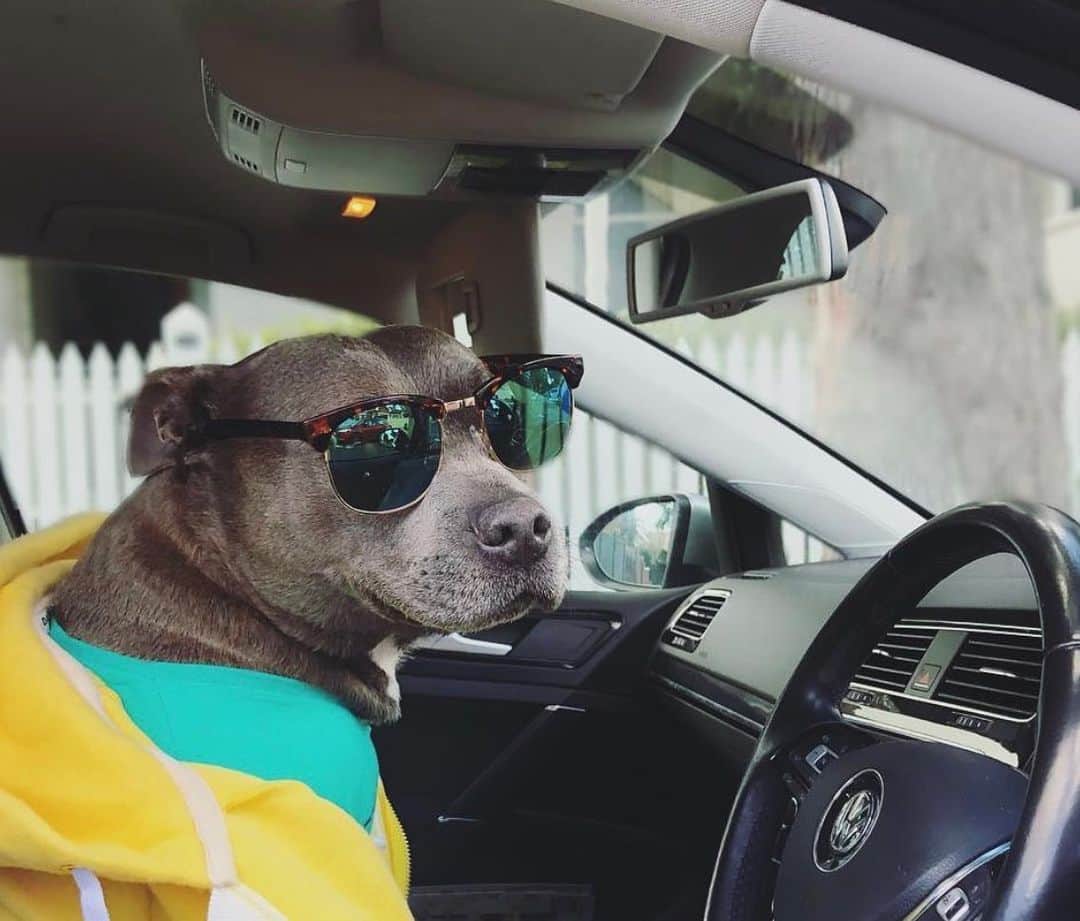 DARREN&PHILLIPさんのインスタグラム写真 - (DARREN&PHILLIPInstagram)「Get in loser we’re going shopping. 🕶🛍 But I totally have to be back by 4 bc it’s mum’s car and she doesn’t know I has it and if she finds out I’ll get in v v big trouble」6月2日 8時46分 - the_blueboys