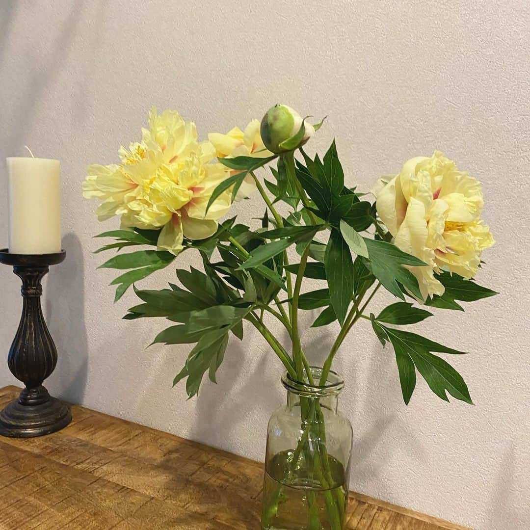 畑野ひろ子のインスタグラム：「おはようございます😊 一緒に仕入れた花も開花の時は様々。 満開の芍薬の隣では、これから咲いていく蕾。 花からも、自分のペースで自分らしくを教わっています😊」