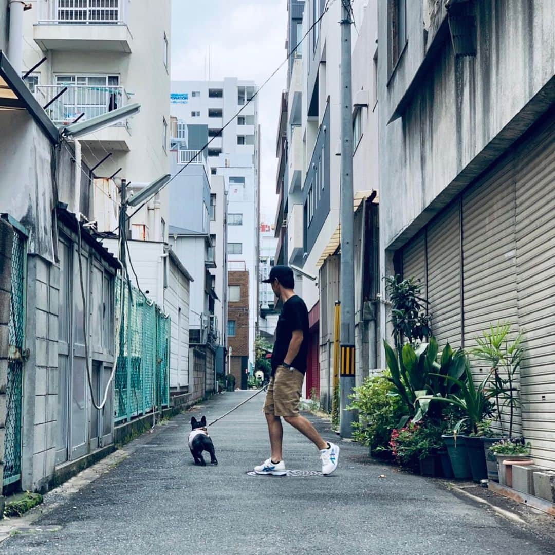 浜本広晃さんのインスタグラム写真 - (浜本広晃Instagram)「こうなったら動かん。。。 #フレンチブルドッグ #frenchbulldog  #フレブル #ブヒ」6月2日 14時56分 - hammer0215