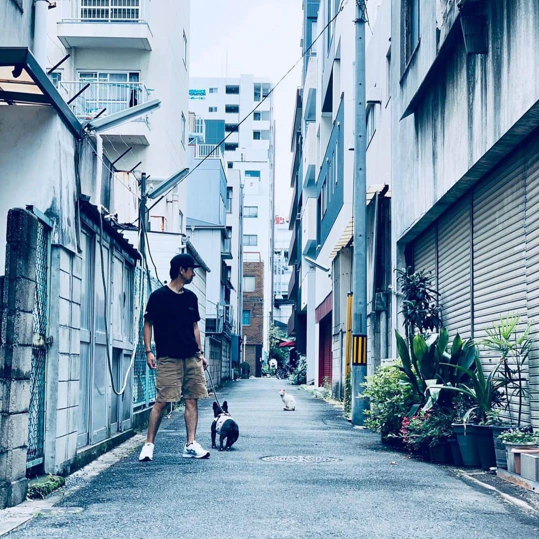 浜本広晃さんのインスタグラム写真 - (浜本広晃Instagram)「こうなったら動かん。。。 #フレンチブルドッグ #frenchbulldog  #フレブル #ブヒ」6月2日 14時56分 - hammer0215