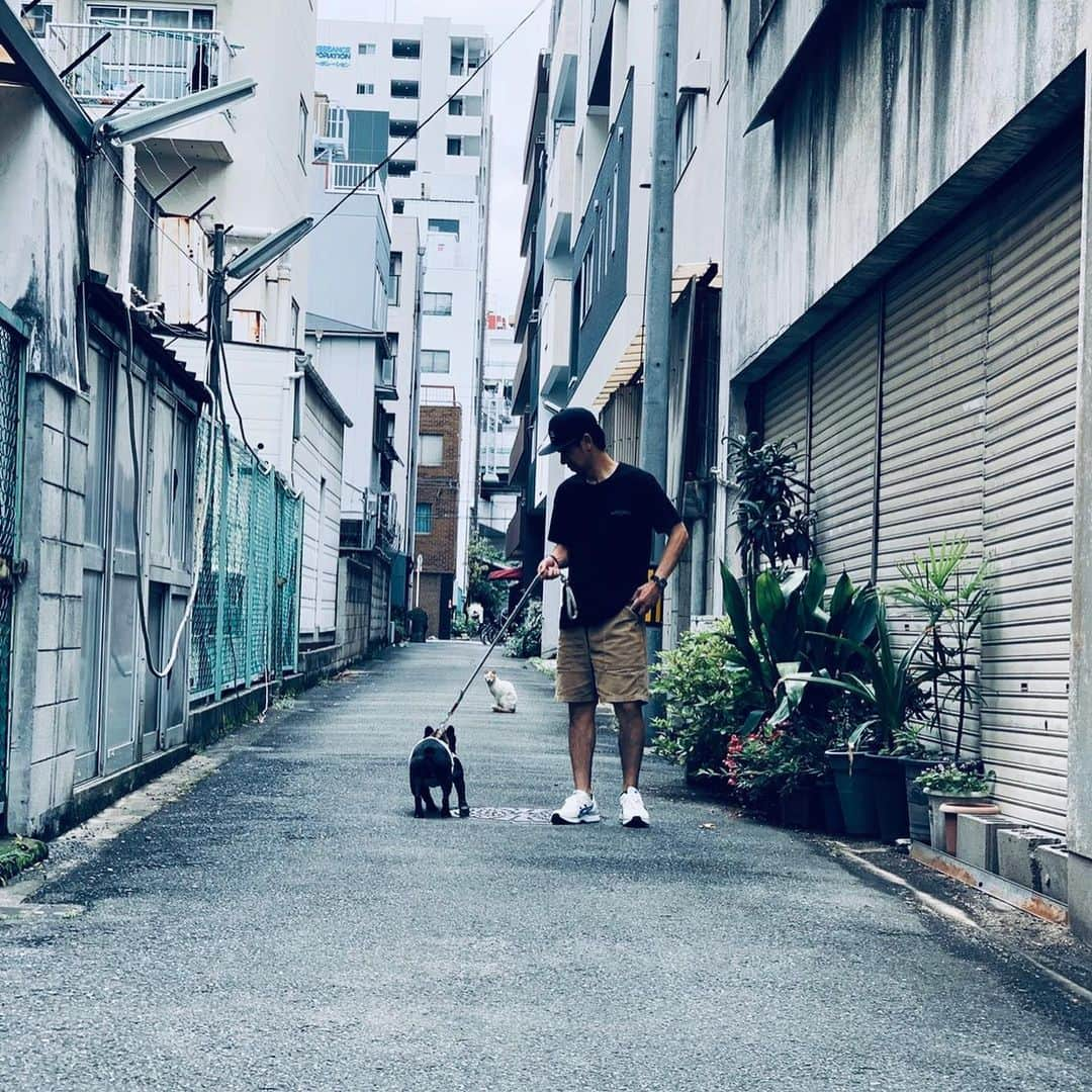 浜本広晃のインスタグラム：「こうなったら動かん。。。 #フレンチブルドッグ #frenchbulldog  #フレブル #ブヒ」