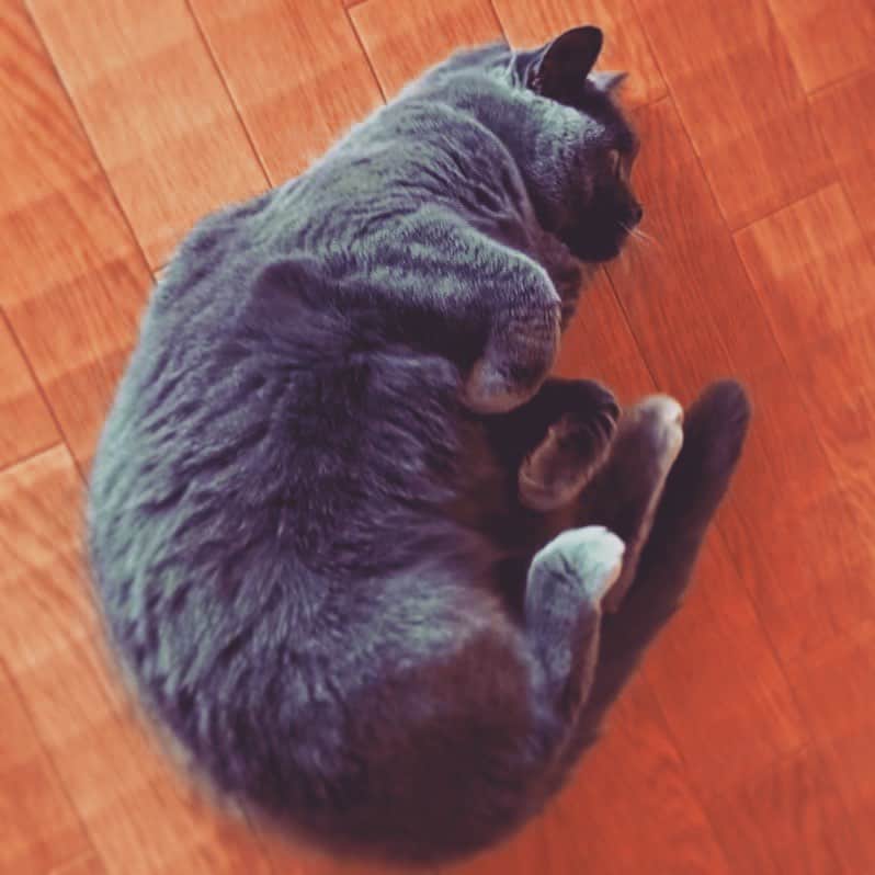 チキン南蛮カレーのルウ王子のグルメインスタ