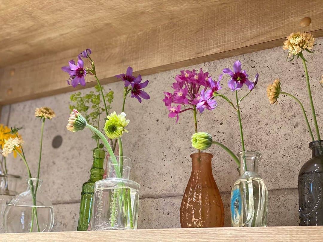 笹塚駅のパン屋さん オパンのグルメインスタ