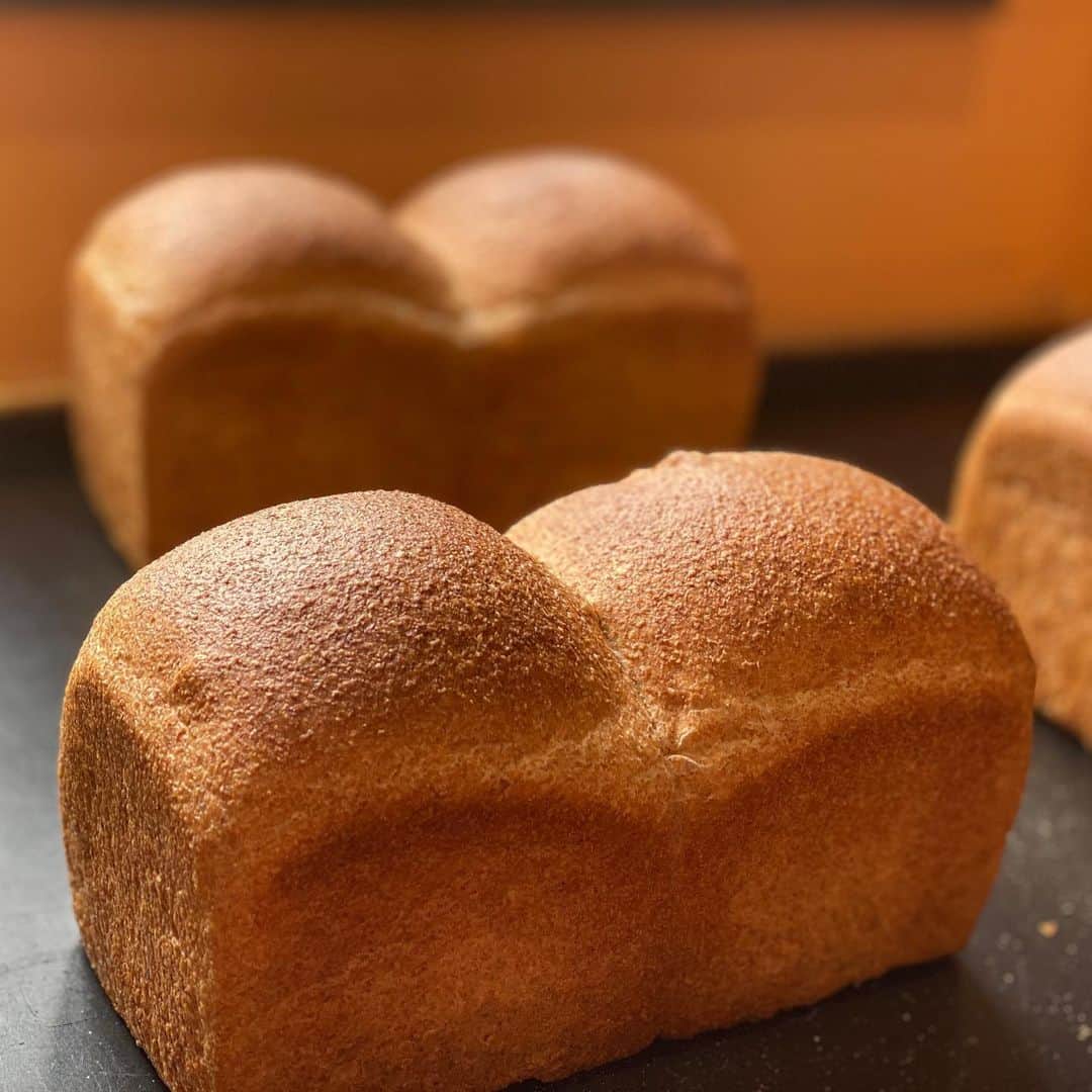 魔女菅原のグルメインスタ