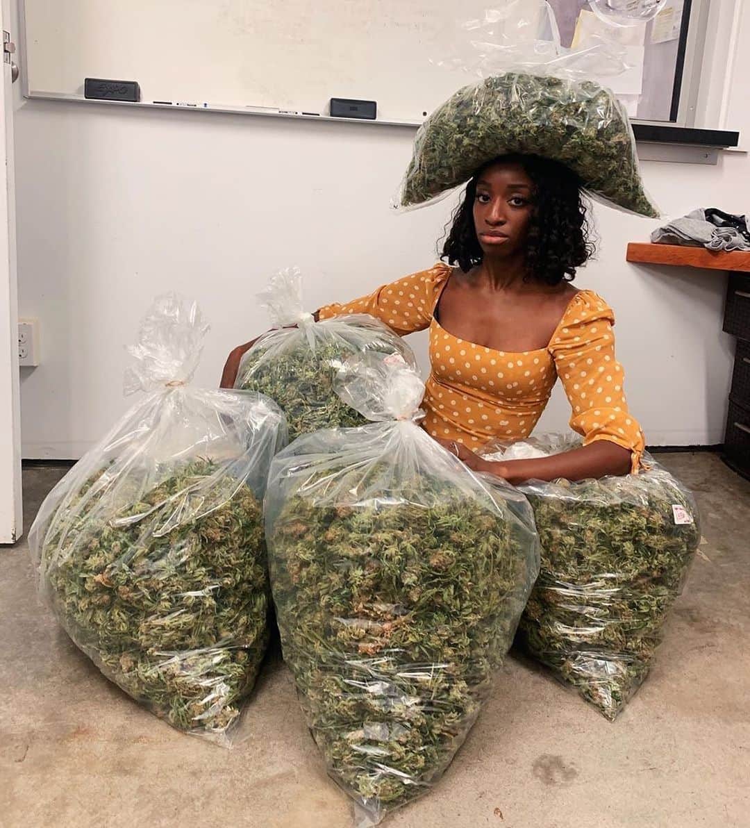 Paul Octaviousのインスタグラム：「This week has me already like...I’ve packed my bags and I’ll see y’all tomorrow.  #reparations #cannabis #selfcare #blackincannabis . 📸 by and of @ariellcasie ✊🏾🖤」