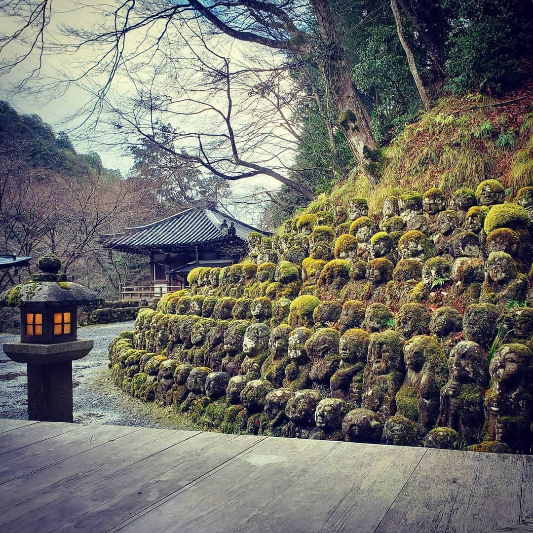 市川笑野さんのインスタグラム写真 - (市川笑野Instagram)「愛宕念仏寺の羅漢様。 長渕剛の「人間」が好きな私には憧れの場所！ ３月京都にて。 #愛宕念仏寺 #長渕剛 #人間 #kyoto #japan #羅漢様」6月2日 10時54分 - emino.i