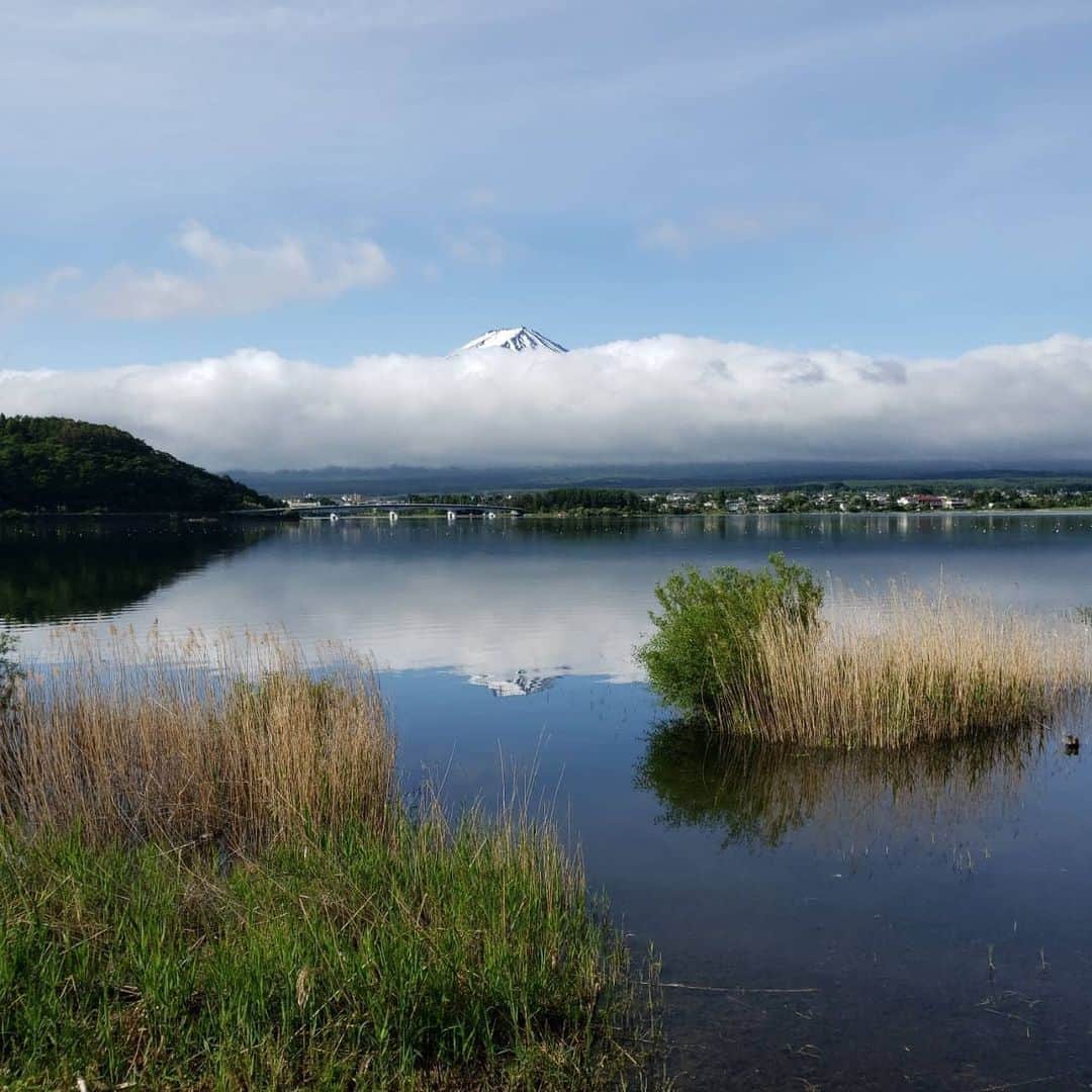 綾小路きみまろさんのインスタグラム写真 - (綾小路きみまろInstagram)「おはようございます。 綾小路きみまろです。  早朝の富士山と河口湖です。 今日も頑張りましょう💪  #綾小路きみまろ #富士山 #河口湖 #きみまろ茶やからの富士山ビュー」6月2日 11時11分 - ayanokojikimimaro_official
