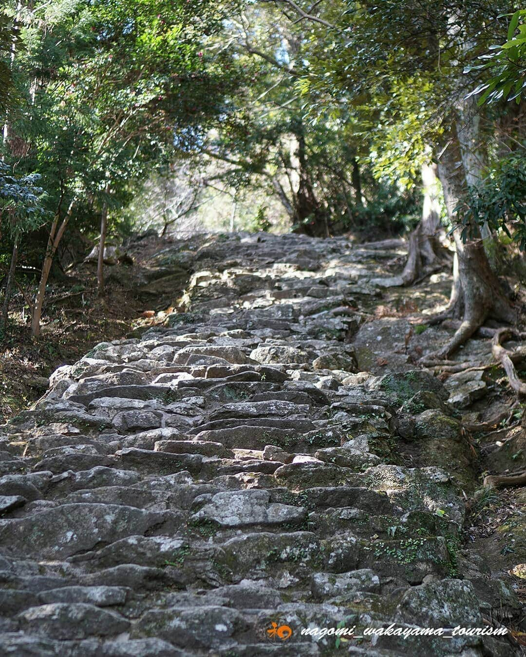 和みわかやまさんのインスタグラム写真 - (和みわかやまInstagram)「５３８段の石段は。。。　−神倉神社−  ５３８段もある急峻な石段は、楽には登れませんが、生い茂る木々の隙間からこぼれる木漏れ日を楽しんだり、地元の方々の登るスピード（ほんとに早い！）に驚いたりしながら、登りきったその先には、凜とした空気と、こんな絶景が待っています！ 熊野の神々が一番最初に降臨したといわれるご神体、ゴトビキ岩の迫力に息をのみ、そして、眼下にひろがる新宮のまちやその向こうにある雄大な熊野灘に目を奪われます。 神々が棲まう自然崇拝の聖地、熊野。  #nagomi_wakayama #wakayama#insta_wakayama #visitwakayama  #神倉神社 #紀伊山地の霊場と参詣道 #熊野 #熊野速玉大社 #ゴトビキ岩 ＃ご神体 #石段 #絶景 #木漏れ日 #和歌山県 #和歌山 #わかやま #新宮市 #新宮 #Shigu #癒やし #蘇り #よみがえり」6月2日 11時30分 - nagomi_wakayama_tourism