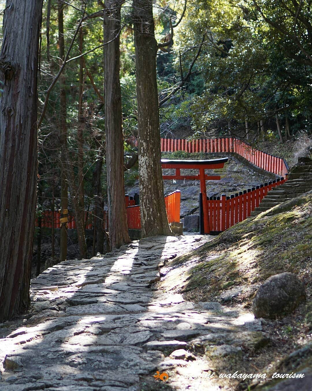 和みわかやまさんのインスタグラム写真 - (和みわかやまInstagram)「５３８段の石段は。。。　−神倉神社−  ５３８段もある急峻な石段は、楽には登れませんが、生い茂る木々の隙間からこぼれる木漏れ日を楽しんだり、地元の方々の登るスピード（ほんとに早い！）に驚いたりしながら、登りきったその先には、凜とした空気と、こんな絶景が待っています！ 熊野の神々が一番最初に降臨したといわれるご神体、ゴトビキ岩の迫力に息をのみ、そして、眼下にひろがる新宮のまちやその向こうにある雄大な熊野灘に目を奪われます。 神々が棲まう自然崇拝の聖地、熊野。  #nagomi_wakayama #wakayama#insta_wakayama #visitwakayama  #神倉神社 #紀伊山地の霊場と参詣道 #熊野 #熊野速玉大社 #ゴトビキ岩 ＃ご神体 #石段 #絶景 #木漏れ日 #和歌山県 #和歌山 #わかやま #新宮市 #新宮 #Shigu #癒やし #蘇り #よみがえり」6月2日 11時30分 - nagomi_wakayama_tourism