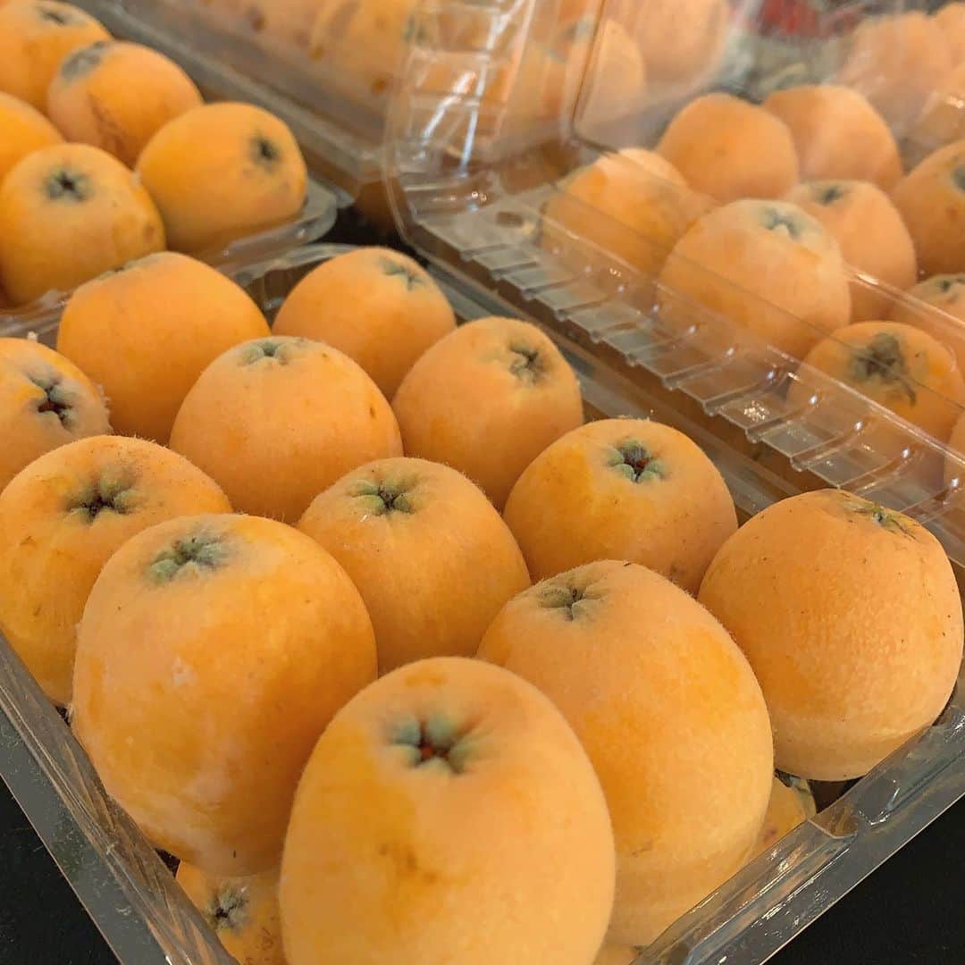 福岡超新鮮野菜/フレラボ薬院店のインスタグラム：「ビワが出だしました〜🙆‍♂️ 夏の始まり🏊‍♂️🎣☀︎ . . #とどける株式会社#うきは#福岡#農業#農家#農家最高かよ#びわ」