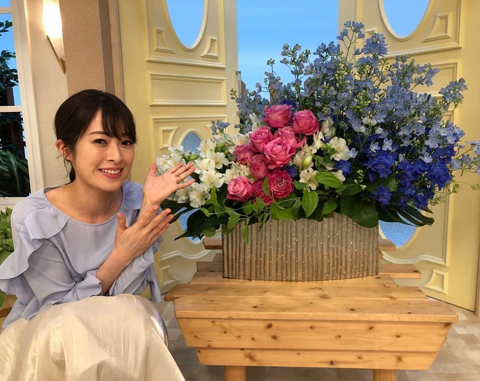 北海道テレビ「イチオシ！モーニング」さんのインスタグラム写真 - (北海道テレビ「イチオシ！モーニング」Instagram)「毎週火曜日は「イチモニ！花（か）曜日」道内の花農家さんが育てたお花をご紹介します。今日は新ひだか町三石で収穫された「デルフィニウム」でした！スタジオが一気に明るく華やかになりましたよ。ありがとうございました！ #イチモニ #花曜日 #林和人 #石沢綾子 #室岡里美 #大野恵 #オクラホマ #河野真也 #新ひだか町 #デルフィニウム #イチオシ #htb」6月2日 11時40分 - htb_ichimoni