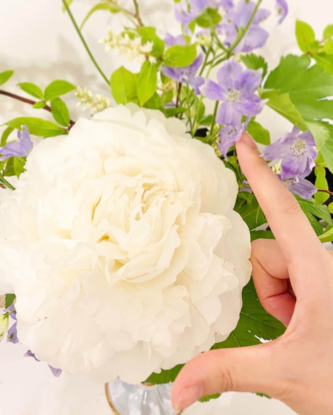 藤森香衣さんのインスタグラム写真 - (藤森香衣Instagram)「シャクヤクは、女王の風格。 香りも素晴らしい。  出回る時期が短いものほど、 美味しかったり、美しかったりする。  #シャクヤク #芍薬 #花 #香り #香水みたい #生命力 #美しい」6月2日 11時43分 - kaefujimori
