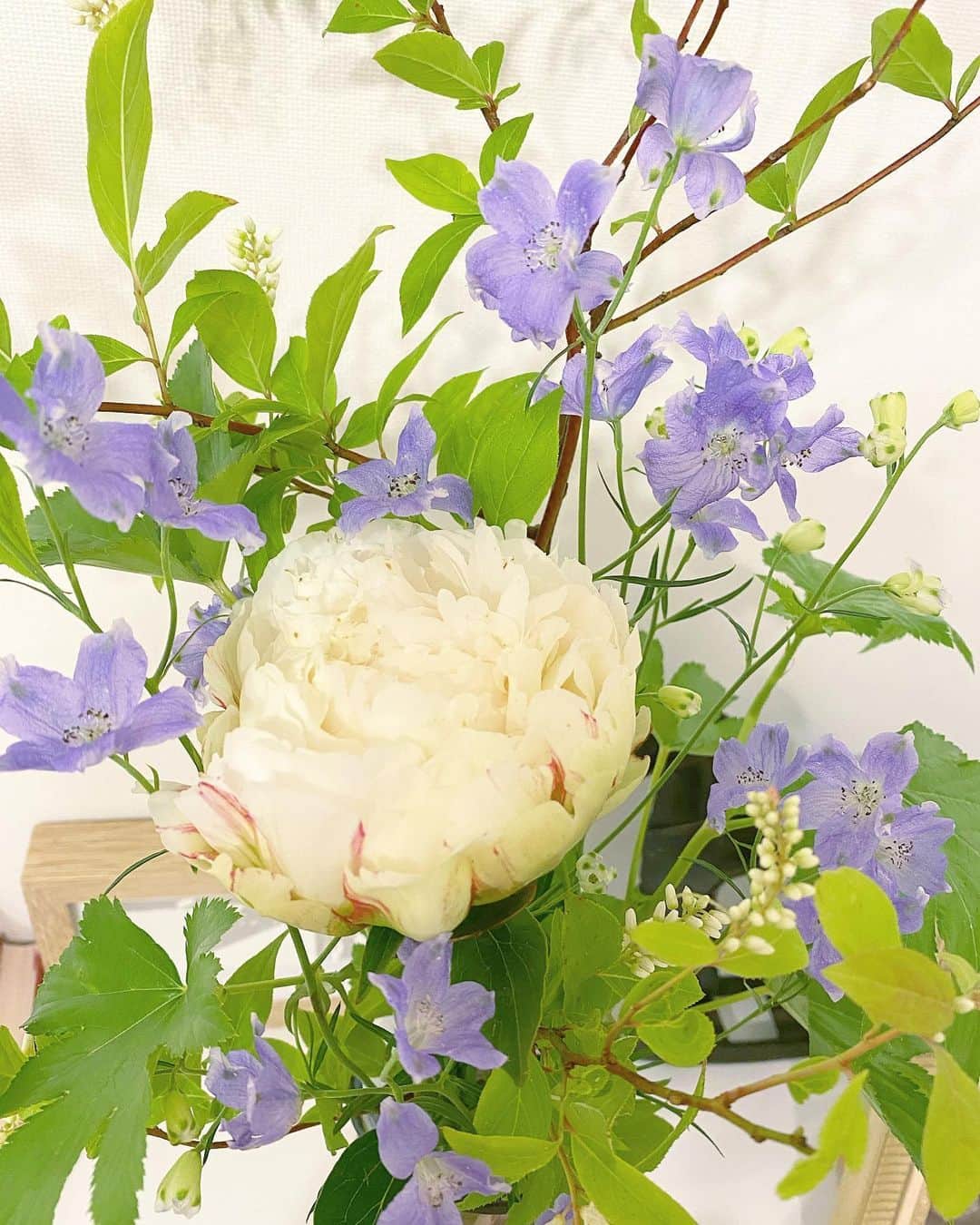 藤森香衣さんのインスタグラム写真 - (藤森香衣Instagram)「シャクヤクは、女王の風格。 香りも素晴らしい。  出回る時期が短いものほど、 美味しかったり、美しかったりする。  #シャクヤク #芍薬 #花 #香り #香水みたい #生命力 #美しい」6月2日 11時43分 - kaefujimori