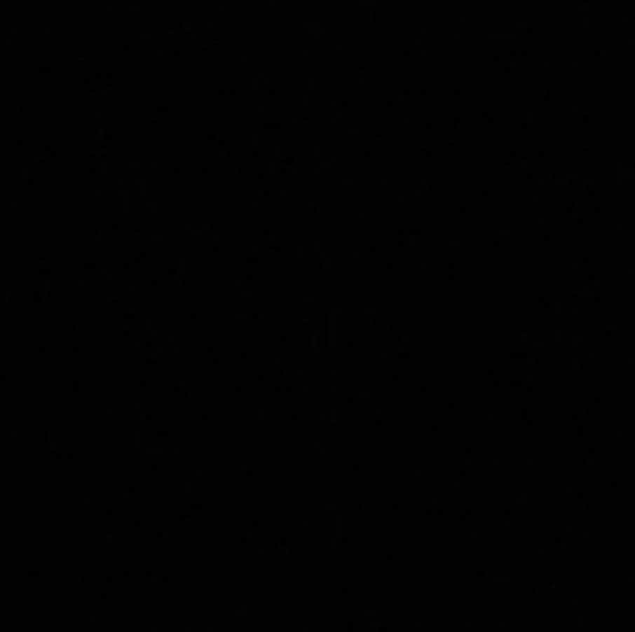 シャンテル・ヴァンサンテンのインスタグラム：「#BlackOutTuesday」