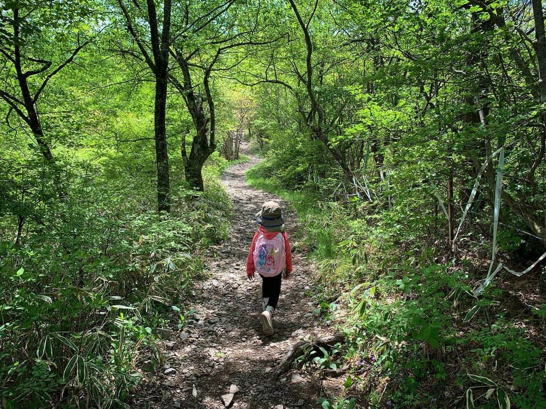 田中幸さんのインスタグラム写真 - (田中幸Instagram)「なんだか久しぶりの こんな空間⛰  4歳になった登山家は 初めて自分の足で登頂  お気に入りの プリキュアの リュック背負って どんな気持ちで この景色を見てるんだろ  一緒に楽しめる場所が 増えるって嬉しい🧒  #アウトドア #めしもりやま🍚  #360度絶景登山 #age4 @marmot_japan」6月2日 12時45分 - sachitanaka