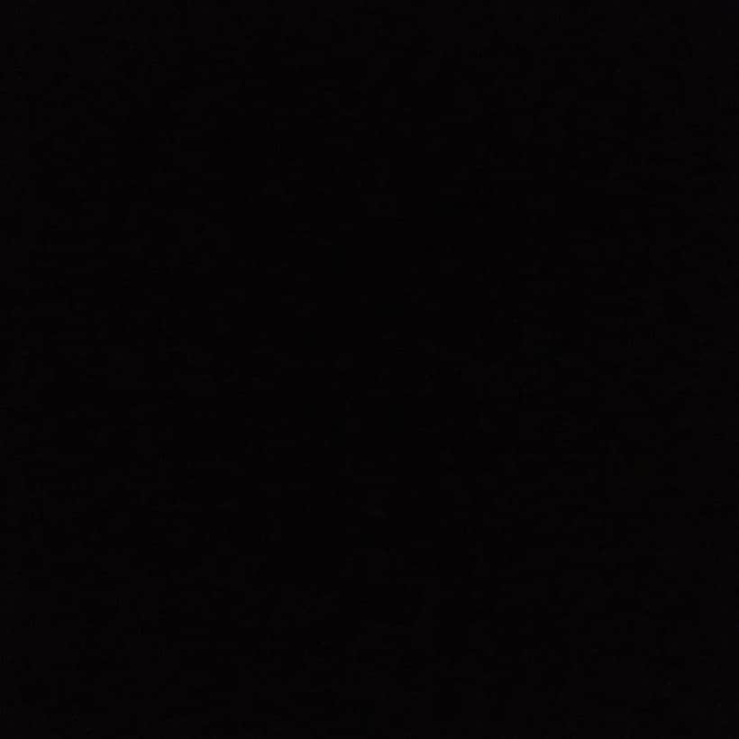ルイス・アルベルトさんのインスタグラム写真 - (ルイス・アルベルトInstagram)「#blackouttuesday 💪🏻💪🏼💪🏽💪🏾💪🏿」6月2日 22時48分 - 10_luisalberto