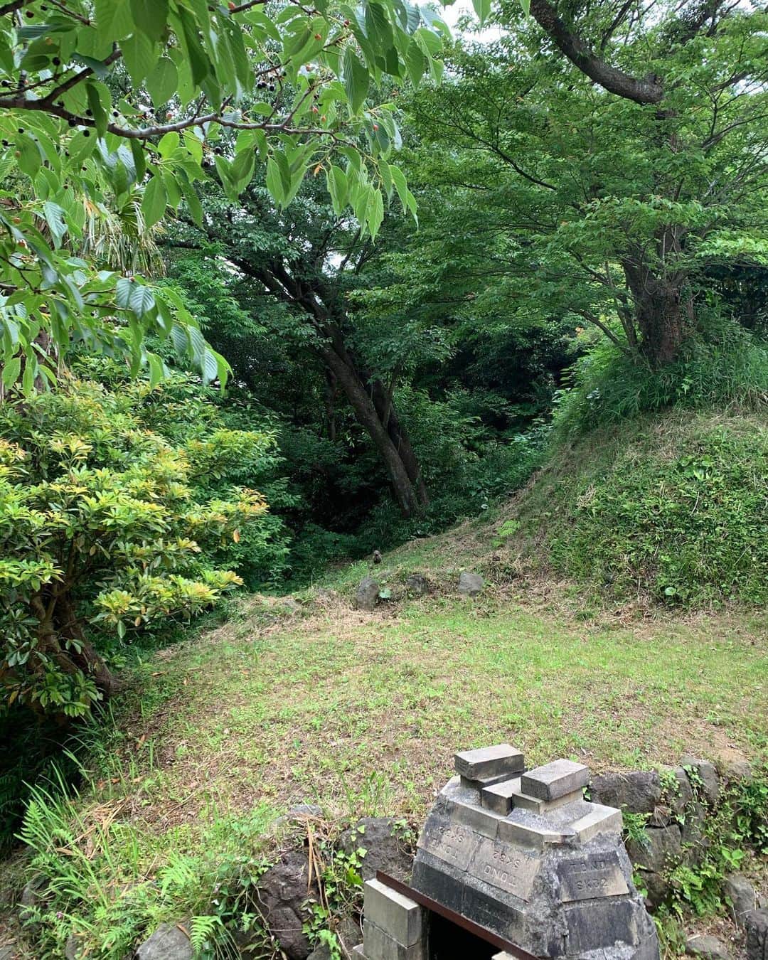 風間ゆみえのインスタグラム：「日曜日は庭の草刈り  ここは丸い葉が広がってフキ畑みたいになっていたところ。ふきの葉が大きくなって睡蓮の池みたいだった、それはそれできれいだったからしばらくこのままでも、、なんで思ったりもしていましたが、すっきり、きれいになりました。  ご褒美は、横須賀モンスティルのお弁当✨ おかずがたくさんで嬉しい✨☺️ @monstyle.aki  ps... ヤギさんに来てもらいたい 美味しいグリーンがたくさんありますよ〜  イノシシ🐗が2頭遊びに来ました。 クリポックル？だった？ いや、ウリ坊だ！ 小さなイノシシ、  初めてみました。  イノシシ年でもあるので、なんだか親近感。可愛いかったな。」