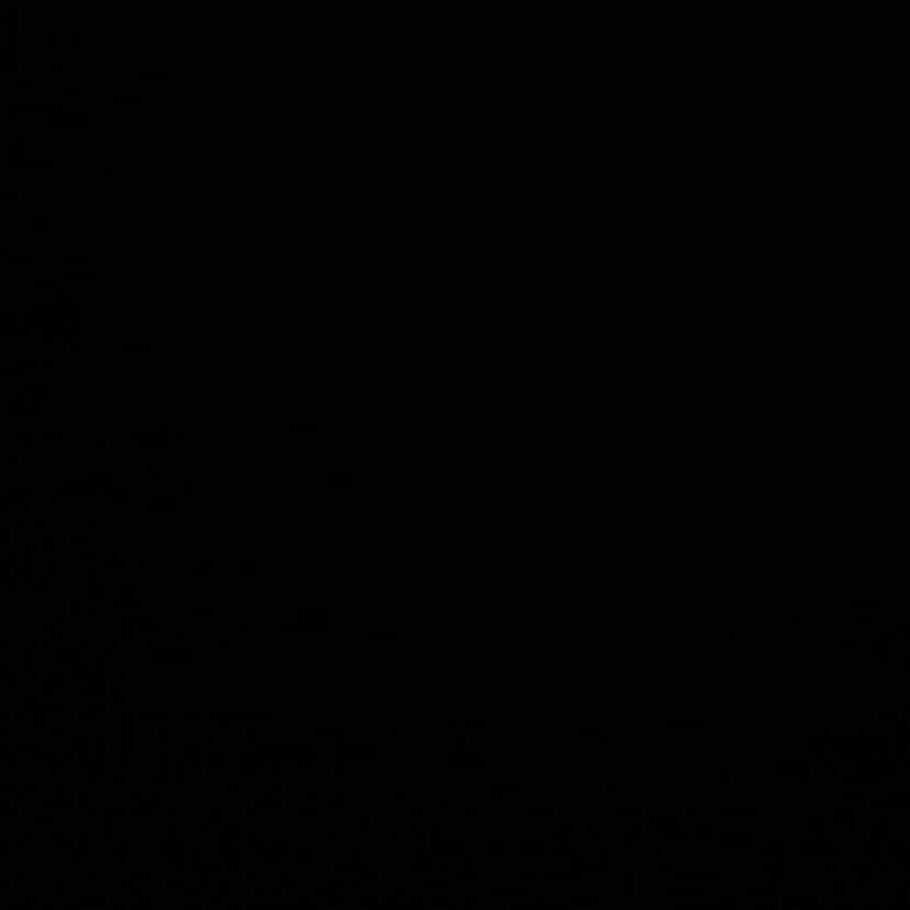 チョン・ジャーチーさんのインスタグラム写真 - (チョン・ジャーチーInstagram)「#blackouttuesday #alllivesmatter」6月2日 23時42分 - jiaqi_zheng123