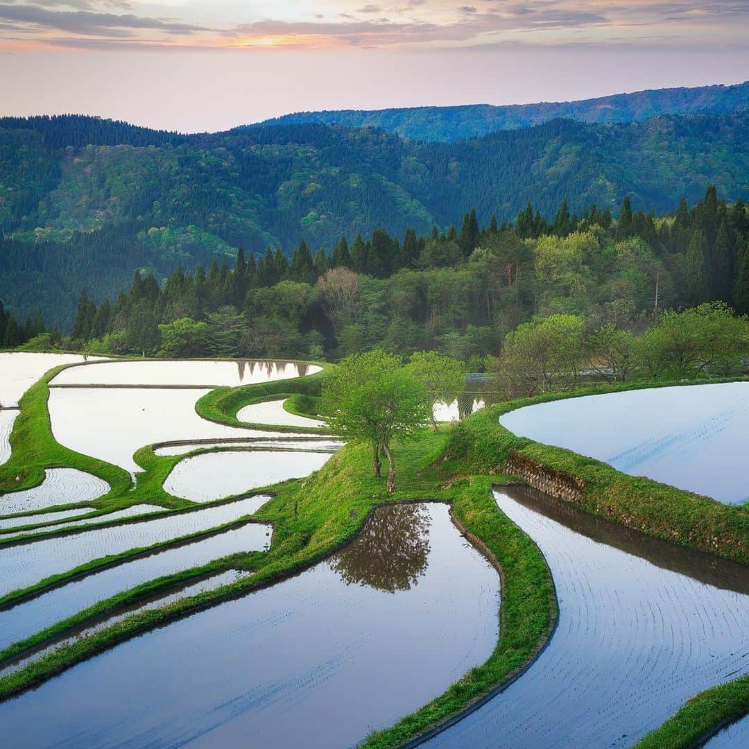 のインスタグラム：「＼兵庫県・別宮の棚田🌾✨／ 今回ご紹介するのは、兵庫県養父市別宮(べっくう)にある棚田の風景🌾 兵庫の屋根・氷ノ山(ひょうのせん)を望む、あたたかみを感じられる日本の原風景をお届けします✨ . ※写真は過去に撮影したものです --------------- 《投稿をご覧の皆さまへ》 関西電力Instagramでは、関西地方の灯、あたたかみのある風景のお届けを通して、皆さまの心に灯りがともるような癒しをお届けしてまいります。 外出の際は引き続き感染予防の徹底を心がけましょう。 --------------- . #おうち時間 #おうちじかん #うちで過ごそう #ステイホーム #リフレクション #日本の風景 #マジックアワー #けしからん風景 #日本の絶景 #棚田 #棚田の風景 #水鏡　#hyogo #兵庫県 #兵庫 #lovehyogo #神戸カメラ部 #養父市 #別宮の棚田 #氷ノ山 #loves_united_japan #ダレカニミセタイケシキ #bestphoto_japan #灯 #貴重な体験 #景色最高 #tripgramjp #best_expression_night #お写んぽ　#インスタスポット」