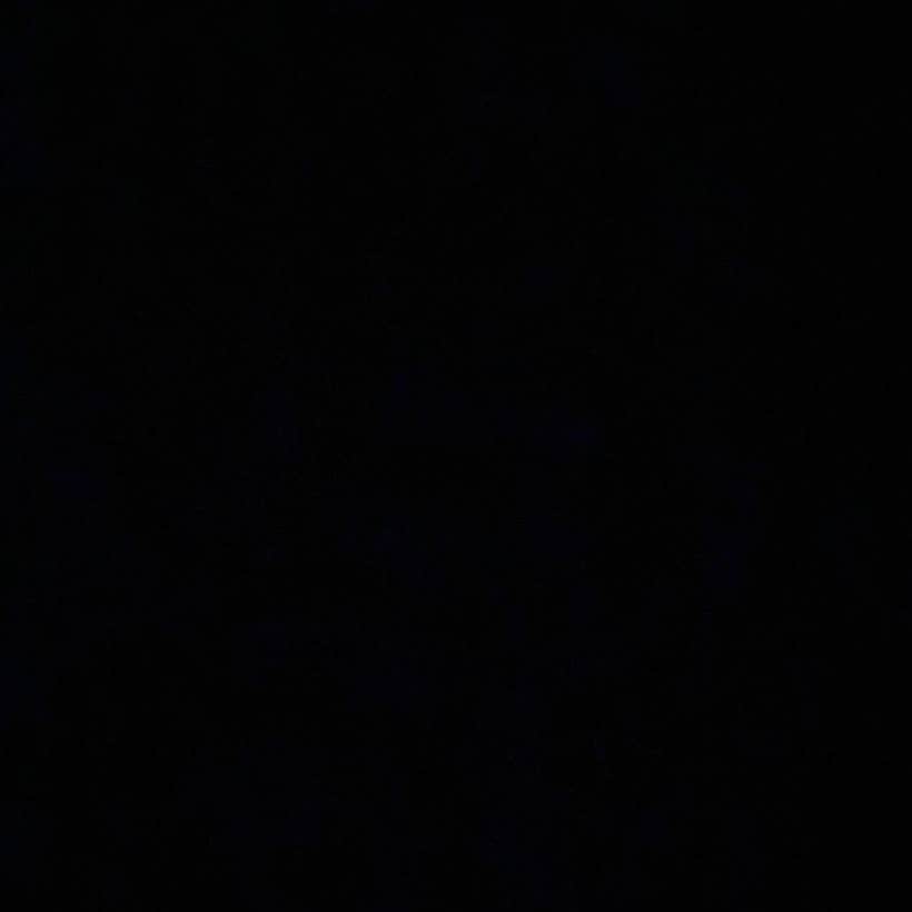 エリン・アンドリューズのインスタグラム：「Doesn’t seem like enough to even post this. I’m struggling with that. What can I do? What will make a difference? I stand with you. #blackouttuesday 🖤」