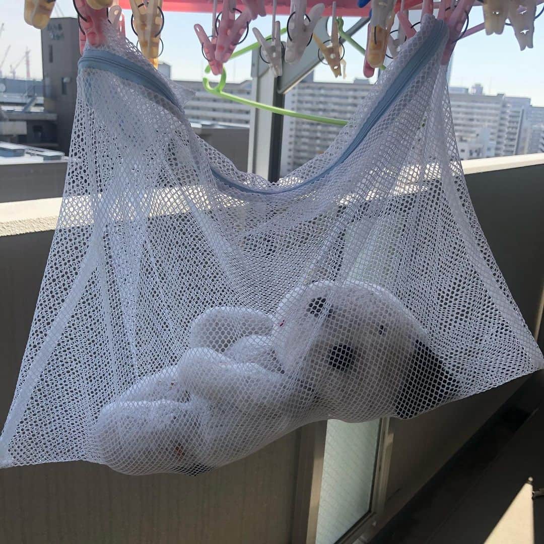 島田珠代のインスタグラム：「５歳から持ってるぬいぐるみのゆき姉さん。昨日洗って、今日はダメ押で太陽の下に。 この昭和の肌触りにどれだけ癒されたことか。あらためてみると、いっぱいやぶれてました。いまからぬってあげます。」
