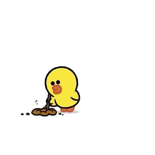 Line Friends Jpさんのインスタグラム写真 Line Friends Jpinstagram 可愛すぎる 6 6 Brown Friends 新シリーズ大公開 Linefriends ブラウン コニー サリー チョコ ミニ ミニフレンズ かわいい 6月6日 新発売 6月2日 16時55分 Linefriends Jp