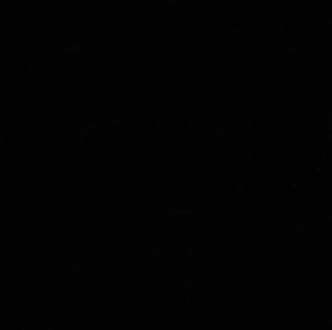 ダニエラ・ルーアのインスタグラム：「#blackouttuesday」