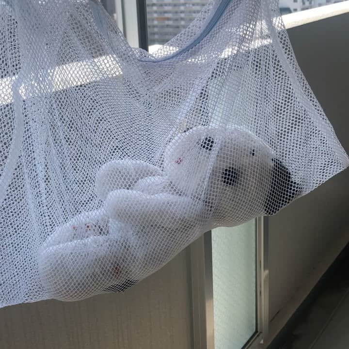 のインスタグラム