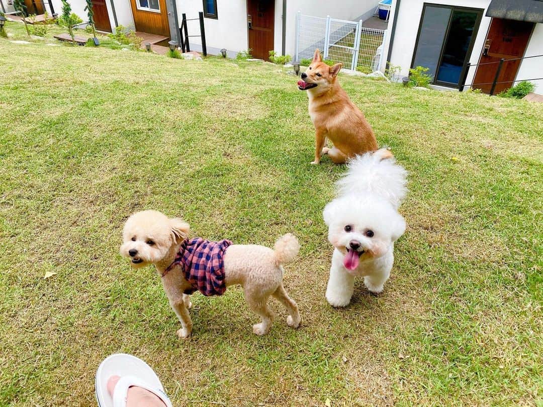 ユン・ヒョンミンのインスタグラム：「아가들 천국✨」