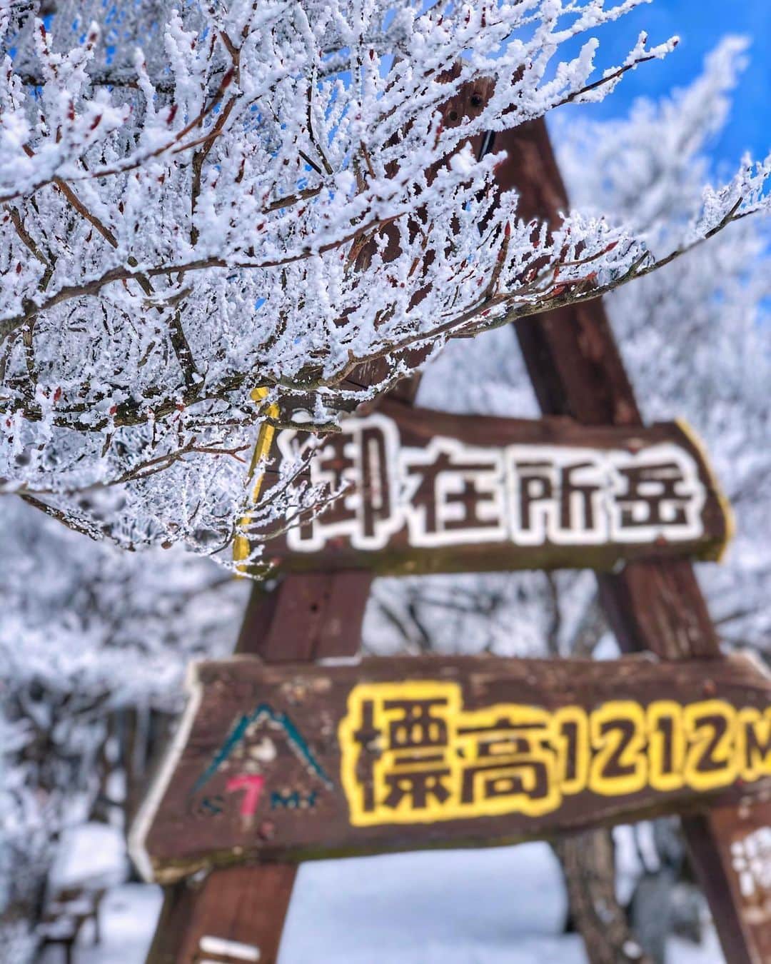 hama_aki_pppさんのインスタグラム写真 - (hama_aki_pppInstagram)「三重県三重郡#御在所岳　(スライドして下さい) Location Mie Japan (Swipe) 2020.2.9  #御在所岳ロープウェイ　下界は雪無しですが急勾配を上がって行くと一面の雪景色が広がります❄️☃️過去pic。涼しい画像をどうぞ。  #雪山  #美しい日本　 #絶景delic  #ファインダー越しの私の世界  #樹氷  #雪景色 #にこta  #タビジェニ　 #snowing  #look_japan  #total_asia  #otonatabi_japan  #jalan_travel  #nature_shots  #special_spot_  #snowlovers  #inspring_shot  #top_favorite_shots  #snowlandscape  #nature_special_  #japanesegarden  #japanlandscape  #rakutentravel」6月2日 17時11分 - hama_aki_ppp