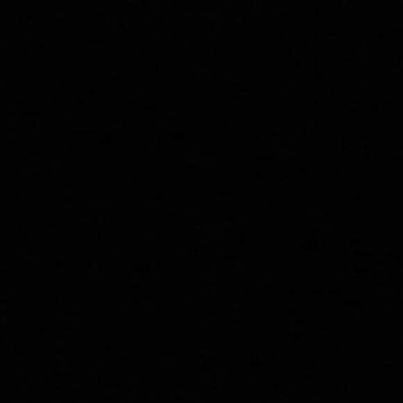 Elizabeth Jane Bishopさんのインスタグラム写真 - (Elizabeth Jane BishopInstagram)「#blackouttuesday BLACK LIVES MATTER 🖤 Today and every day.」6月2日 17時39分 - elizabethjanebishop