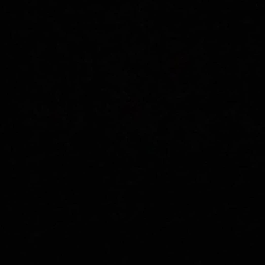 ローラ・カーマイケルさんのインスタグラム写真 - (ローラ・カーマイケルInstagram)「Black Lives Matter #blackouttuesday」6月2日 18時07分 - larrycarmichael