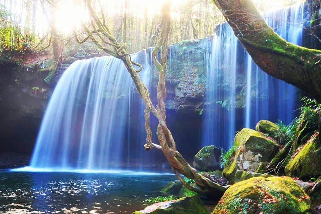 楽天トラベル さんのインスタグラム写真 - (楽天トラベル Instagram)「こんにちは😊 今日はマイナスイオンを感じる#滝 の写真をご紹介します✨ #次の旅先リスト に滝スポットはいかがでしょうか？ ーーーーーーーーーーーーー 1枚目 📍 鍋ヶ滝 （熊本県） 📷 @naka_taka7070 ーーーーーーーーーーーー 2枚目 📍 にこ淵 （高知県） 📷 @ryuichi_style ーーーーーーーーーーーーー 3枚目 📍 夫婦滝 （熊本県） 📷 @kyuyu05 ーーーーーーーーーーーーー 4枚目 📍 白糸の滝 （静岡県） 📷 @keishirooooon ーーーーーーーーーーーーー 5枚目 📍 箕面大滝 （大阪府） 📷 @hama_aki_ppp ーーーーーーーーーーーーー  みなさんの #次の旅先リスト もぜひ教えて下さいね ーーーーーーーーーーーーー 旅先で出会った美しい風景や素敵な旅館などを  #rakutentravel を付けてぜひシェアしてください😊 このアカウントでご紹介させていただきます💗 ーーーーーーーーーーーーー  #楽天トラベル #旅行好きな人と繋がりたい #旅したくなるフォト #旅行 #国内旅行 #おうちで旅体験 #旅行好き #旅行好きと繋がりたい #travel #trip #japan #日本の景色 #日本の絶景 #日本の風景」6月2日 18時13分 - rakutentravel