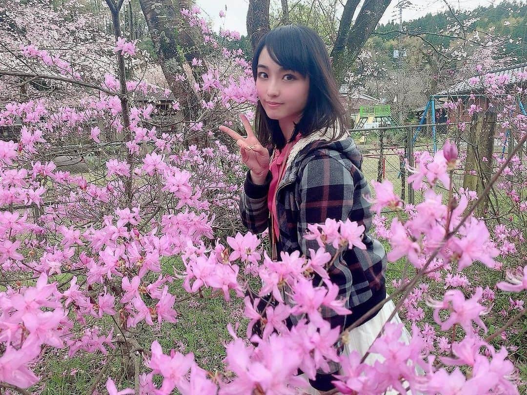 伊藤桃のグルメインスタ