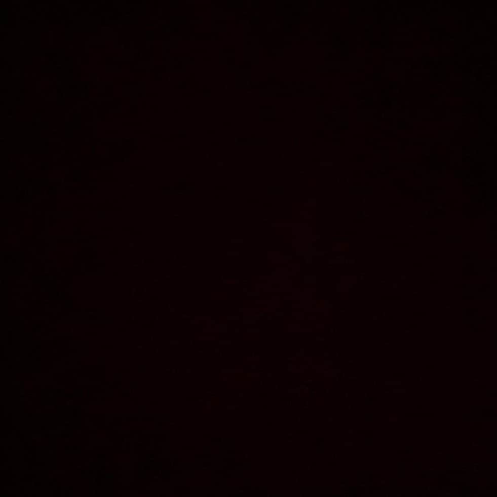 ロマン・ポンサールのインスタグラム：「@blklivesmatter #blackouttuesday 🖤」