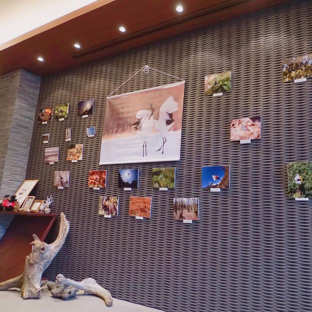 KOTOWA京都八坂のグルメインスタ