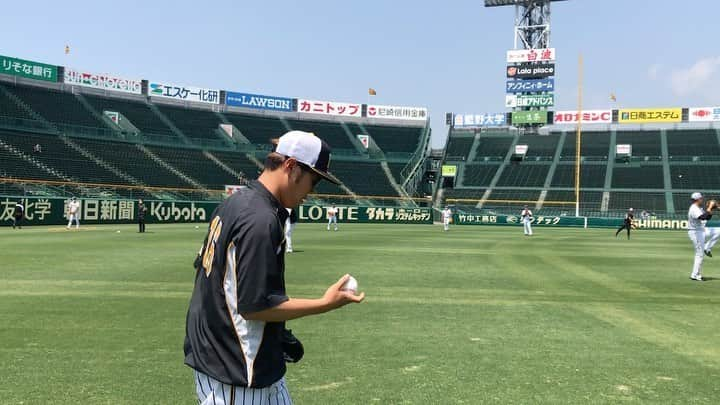 阪神タイガースのインスタグラム