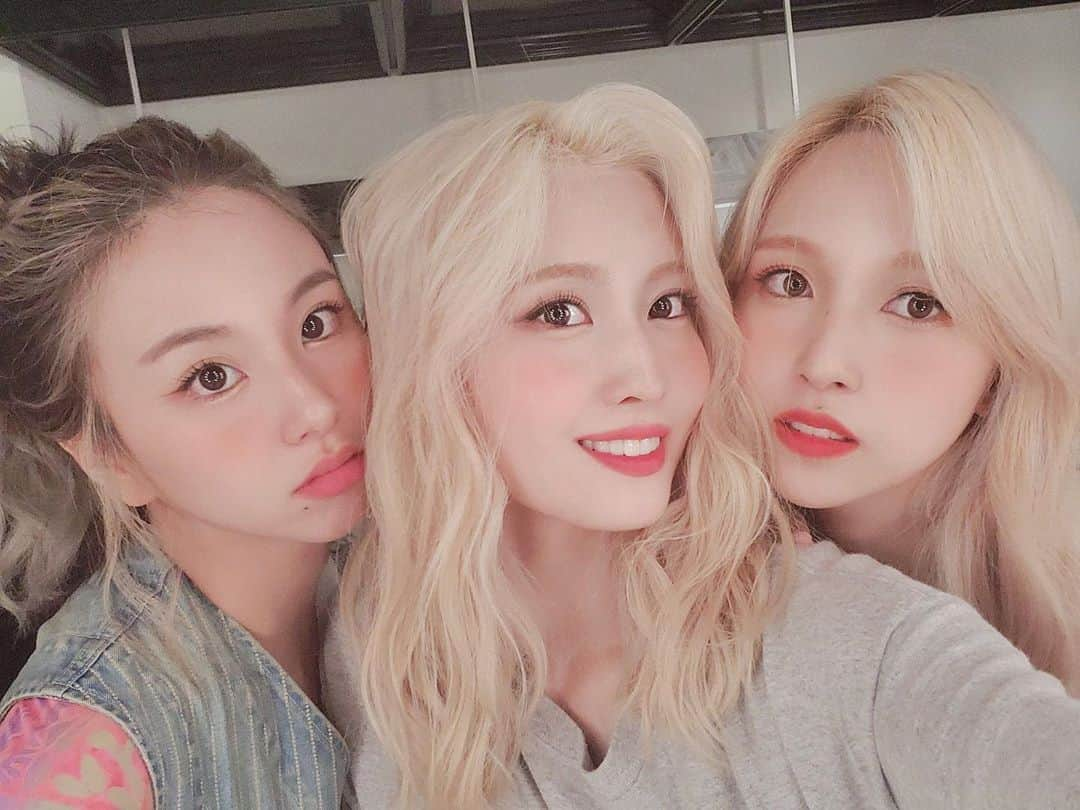 モモさんのインスタグラム写真 - (モモInstagram)「Selfies from the Spotify Live Chat 💛 - we are so blessed with all these selfies, i’m gonna spread them out over a few posts 😚 #MOMO #트와이스 #모모 #平井もも #もも #TWICE」6月2日 19時33分 - momojype