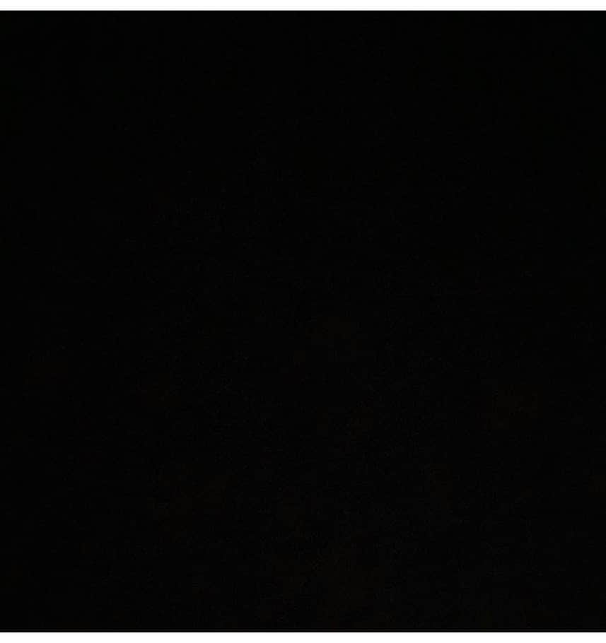 リサ・マリエ・クウェイイーのインスタグラム：「#blackouttuesday 🖤 ✊🏾✊🏼✊🏻」