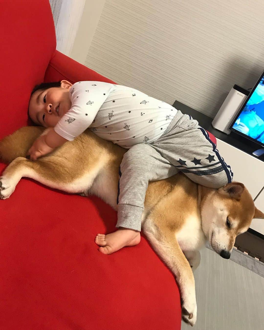 高橋みゆきのインスタグラム：「👦💕🐶…いつもやられるがままの可愛いクラ吉🐕お兄ちゃんだわ😊 #クラ吉お兄 #心坊は車🚗ブーム」