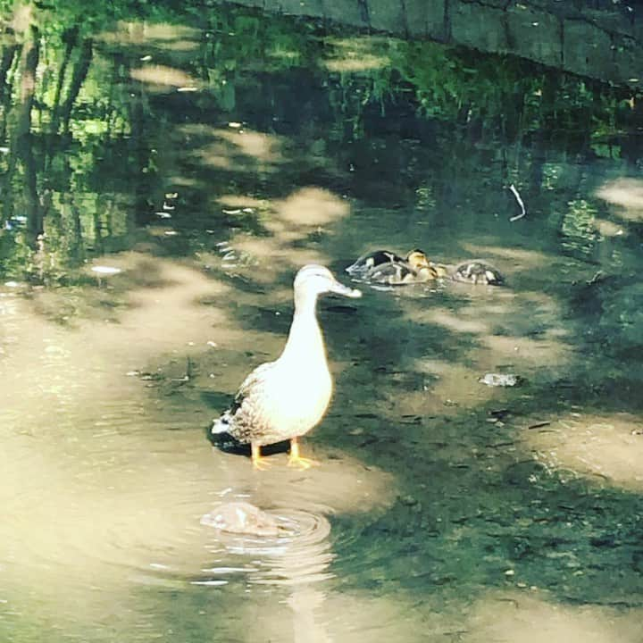 原日出子のインスタグラム